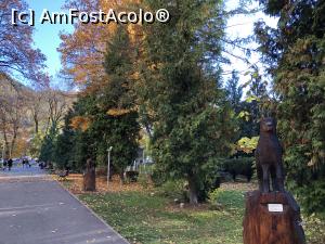 [P36] Brasov- Cam asa aratau sculpturile » foto by mishu
 - 
<span class="allrVoted glyphicon glyphicon-heart hidden" id="av1281751"></span>
<a class="m-l-10 hidden" id="sv1281751" onclick="voting_Foto_DelVot(,1281751,3615)" role="button">șterge vot <span class="glyphicon glyphicon-remove"></span></a>
<a id="v91281751" class=" c-red"  onclick="voting_Foto_SetVot(1281751)" role="button"><span class="glyphicon glyphicon-heart-empty"></span> <b>LIKE</b> = Votează poza</a> <img class="hidden"  id="f1281751W9" src="/imagini/loader.gif" border="0" /><span class="AjErrMes hidden" id="e1281751ErM"></span>