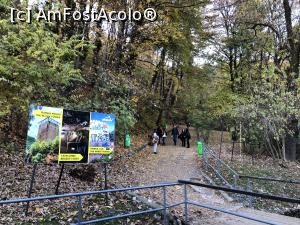 [P40] Brasov- pe traseu sunt puse afise cu multe informatii despre ce poate fi vazut » foto by mishu
 - 
<span class="allrVoted glyphicon glyphicon-heart hidden" id="av1281755"></span>
<a class="m-l-10 hidden" id="sv1281755" onclick="voting_Foto_DelVot(,1281755,3615)" role="button">șterge vot <span class="glyphicon glyphicon-remove"></span></a>
<a id="v91281755" class=" c-red"  onclick="voting_Foto_SetVot(1281755)" role="button"><span class="glyphicon glyphicon-heart-empty"></span> <b>LIKE</b> = Votează poza</a> <img class="hidden"  id="f1281755W9" src="/imagini/loader.gif" border="0" /><span class="AjErrMes hidden" id="e1281755ErM"></span>