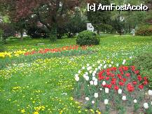 [P20] Parcul Central din Brasov » foto by krondia*
 - 
<span class="allrVoted glyphicon glyphicon-heart hidden" id="av46219"></span>
<a class="m-l-10 hidden" id="sv46219" onclick="voting_Foto_DelVot(,46219,3615)" role="button">șterge vot <span class="glyphicon glyphicon-remove"></span></a>
<a id="v946219" class=" c-red"  onclick="voting_Foto_SetVot(46219)" role="button"><span class="glyphicon glyphicon-heart-empty"></span> <b>LIKE</b> = Votează poza</a> <img class="hidden"  id="f46219W9" src="/imagini/loader.gif" border="0" /><span class="AjErrMes hidden" id="e46219ErM"></span>