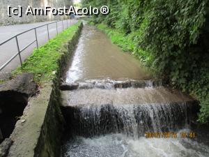 [P05] Canal Graft » foto by elviramvio
 - 
<span class="allrVoted glyphicon glyphicon-heart hidden" id="av775982"></span>
<a class="m-l-10 hidden" id="sv775982" onclick="voting_Foto_DelVot(,775982,3615)" role="button">șterge vot <span class="glyphicon glyphicon-remove"></span></a>
<a id="v9775982" class=" c-red"  onclick="voting_Foto_SetVot(775982)" role="button"><span class="glyphicon glyphicon-heart-empty"></span> <b>LIKE</b> = Votează poza</a> <img class="hidden"  id="f775982W9" src="/imagini/loader.gif" border="0" /><span class="AjErrMes hidden" id="e775982ErM"></span>