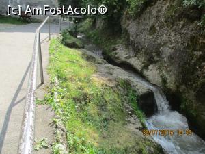 [P07] Canal Graft, sub stâncă » foto by elviramvio
 - 
<span class="allrVoted glyphicon glyphicon-heart hidden" id="av775991"></span>
<a class="m-l-10 hidden" id="sv775991" onclick="voting_Foto_DelVot(,775991,3615)" role="button">șterge vot <span class="glyphicon glyphicon-remove"></span></a>
<a id="v9775991" class=" c-red"  onclick="voting_Foto_SetVot(775991)" role="button"><span class="glyphicon glyphicon-heart-empty"></span> <b>LIKE</b> = Votează poza</a> <img class="hidden"  id="f775991W9" src="/imagini/loader.gif" border="0" /><span class="AjErrMes hidden" id="e775991ErM"></span>