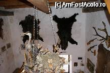 [P18] Un aranjament tipic vânătoresc în Turnul Vânătorilor » foto by Costi
 - 
<span class="allrVoted glyphicon glyphicon-heart hidden" id="av62503"></span>
<a class="m-l-10 hidden" id="sv62503" onclick="voting_Foto_DelVot(,62503,3615)" role="button">șterge vot <span class="glyphicon glyphicon-remove"></span></a>
<a id="v962503" class=" c-red"  onclick="voting_Foto_SetVot(62503)" role="button"><span class="glyphicon glyphicon-heart-empty"></span> <b>LIKE</b> = Votează poza</a> <img class="hidden"  id="f62503W9" src="/imagini/loader.gif" border="0" /><span class="AjErrMes hidden" id="e62503ErM"></span>
