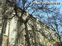 [P28] Biserica Neagra din Brasov » foto by adryana
 - 
<span class="allrVoted glyphicon glyphicon-heart hidden" id="av305839"></span>
<a class="m-l-10 hidden" id="sv305839" onclick="voting_Foto_DelVot(,305839,3615)" role="button">șterge vot <span class="glyphicon glyphicon-remove"></span></a>
<a id="v9305839" class=" c-red"  onclick="voting_Foto_SetVot(305839)" role="button"><span class="glyphicon glyphicon-heart-empty"></span> <b>LIKE</b> = Votează poza</a> <img class="hidden"  id="f305839W9" src="/imagini/loader.gif" border="0" /><span class="AjErrMes hidden" id="e305839ErM"></span>