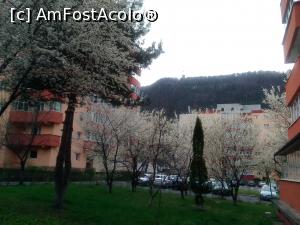 [P10] Cartierul Racadau, primavara » foto by dorgo
 - 
<span class="allrVoted glyphicon glyphicon-heart hidden" id="av734307"></span>
<a class="m-l-10 hidden" id="sv734307" onclick="voting_Foto_DelVot(,734307,3615)" role="button">șterge vot <span class="glyphicon glyphicon-remove"></span></a>
<a id="v9734307" class=" c-red"  onclick="voting_Foto_SetVot(734307)" role="button"><span class="glyphicon glyphicon-heart-empty"></span> <b>LIKE</b> = Votează poza</a> <img class="hidden"  id="f734307W9" src="/imagini/loader.gif" border="0" /><span class="AjErrMes hidden" id="e734307ErM"></span>