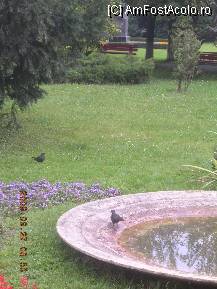 [P39] Parcul Central » foto by abbilbal*
 - 
<span class="allrVoted glyphicon glyphicon-heart hidden" id="av84081"></span>
<a class="m-l-10 hidden" id="sv84081" onclick="voting_Foto_DelVot(,84081,3615)" role="button">șterge vot <span class="glyphicon glyphicon-remove"></span></a>
<a id="v984081" class=" c-red"  onclick="voting_Foto_SetVot(84081)" role="button"><span class="glyphicon glyphicon-heart-empty"></span> <b>LIKE</b> = Votează poza</a> <img class="hidden"  id="f84081W9" src="/imagini/loader.gif" border="0" /><span class="AjErrMes hidden" id="e84081ErM"></span>