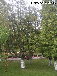 [P50] Parcul Central » foto by abbilbal*
 - 
<span class="allrVoted glyphicon glyphicon-heart hidden" id="av84092"></span>
<a class="m-l-10 hidden" id="sv84092" onclick="voting_Foto_DelVot(,84092,3615)" role="button">șterge vot <span class="glyphicon glyphicon-remove"></span></a>
<a id="v984092" class=" c-red"  onclick="voting_Foto_SetVot(84092)" role="button"><span class="glyphicon glyphicon-heart-empty"></span> <b>LIKE</b> = Votează poza</a> <img class="hidden"  id="f84092W9" src="/imagini/loader.gif" border="0" /><span class="AjErrMes hidden" id="e84092ErM"></span>