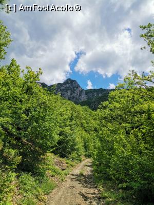 [P07] Drumul spre înălțimea din fața noastră, cel mai înalt punct al traseului » foto by Marius 72
 - 
<span class="allrVoted glyphicon glyphicon-heart hidden" id="av1241850"></span>
<a class="m-l-10 hidden" id="sv1241850" onclick="voting_Foto_DelVot(,1241850,3617)" role="button">șterge vot <span class="glyphicon glyphicon-remove"></span></a>
<a id="v91241850" class=" c-red"  onclick="voting_Foto_SetVot(1241850)" role="button"><span class="glyphicon glyphicon-heart-empty"></span> <b>LIKE</b> = Votează poza</a> <img class="hidden"  id="f1241850W9" src="/imagini/loader.gif" border="0" /><span class="AjErrMes hidden" id="e1241850ErM"></span>