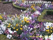 [P10] Superbele flori din gardinile Versailles-ului » foto by claudiasolomon
 - 
<span class="allrVoted glyphicon glyphicon-heart hidden" id="av215463"></span>
<a class="m-l-10 hidden" id="sv215463" onclick="voting_Foto_DelVot(,215463,3618)" role="button">șterge vot <span class="glyphicon glyphicon-remove"></span></a>
<a id="v9215463" class=" c-red"  onclick="voting_Foto_SetVot(215463)" role="button"><span class="glyphicon glyphicon-heart-empty"></span> <b>LIKE</b> = Votează poza</a> <img class="hidden"  id="f215463W9" src="/imagini/loader.gif" border="0" /><span class="AjErrMes hidden" id="e215463ErM"></span>