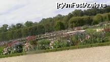 [P22] gradina trianonului » foto by ghecamelia
 - 
<span class="allrVoted glyphicon glyphicon-heart hidden" id="av23030"></span>
<a class="m-l-10 hidden" id="sv23030" onclick="voting_Foto_DelVot(,23030,3618)" role="button">șterge vot <span class="glyphicon glyphicon-remove"></span></a>
<a id="v923030" class=" c-red"  onclick="voting_Foto_SetVot(23030)" role="button"><span class="glyphicon glyphicon-heart-empty"></span> <b>LIKE</b> = Votează poza</a> <img class="hidden"  id="f23030W9" src="/imagini/loader.gif" border="0" /><span class="AjErrMes hidden" id="e23030ErM"></span>