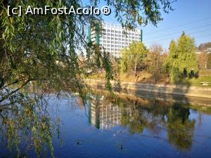 [P01] Hotel Napoca, gazda congresului nostru, reflectat frumos în apele Someșului (pe care se zbenguie câteva rățuște)  » foto by crismis
 - 
<span class="allrVoted glyphicon glyphicon-heart hidden" id="av1030406"></span>
<a class="m-l-10 hidden" id="sv1030406" onclick="voting_Foto_DelVot(,1030406,3623)" role="button">șterge vot <span class="glyphicon glyphicon-remove"></span></a>
<a id="v91030406" class=" c-red"  onclick="voting_Foto_SetVot(1030406)" role="button"><span class="glyphicon glyphicon-heart-empty"></span> <b>LIKE</b> = Votează poza</a> <img class="hidden"  id="f1030406W9" src="/imagini/loader.gif" border="0" /><span class="AjErrMes hidden" id="e1030406ErM"></span>