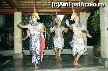 [P21] Dans tradițional thailandez » foto by badge®
 - 
<span class="allrVoted glyphicon glyphicon-heart hidden" id="av171224"></span>
<a class="m-l-10 hidden" id="sv171224" onclick="voting_Foto_DelVot(,171224,3625)" role="button">șterge vot <span class="glyphicon glyphicon-remove"></span></a>
<a id="v9171224" class=" c-red"  onclick="voting_Foto_SetVot(171224)" role="button"><span class="glyphicon glyphicon-heart-empty"></span> <b>LIKE</b> = Votează poza</a> <img class="hidden"  id="f171224W9" src="/imagini/loader.gif" border="0" /><span class="AjErrMes hidden" id="e171224ErM"></span>