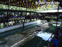 [P34] spectacol cu crocodili la Samphran Parc » foto by station5*
 - 
<span class="allrVoted glyphicon glyphicon-heart hidden" id="av254505"></span>
<a class="m-l-10 hidden" id="sv254505" onclick="voting_Foto_DelVot(,254505,3625)" role="button">șterge vot <span class="glyphicon glyphicon-remove"></span></a>
<a id="v9254505" class=" c-red"  onclick="voting_Foto_SetVot(254505)" role="button"><span class="glyphicon glyphicon-heart-empty"></span> <b>LIKE</b> = Votează poza</a> <img class="hidden"  id="f254505W9" src="/imagini/loader.gif" border="0" /><span class="AjErrMes hidden" id="e254505ErM"></span>