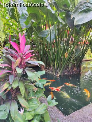 [P15] Casa lui Jim Thompson » foto by crismis
 - 
<span class="allrVoted glyphicon glyphicon-heart hidden" id="av1362800"></span>
<a class="m-l-10 hidden" id="sv1362800" onclick="voting_Foto_DelVot(,1362800,3625)" role="button">șterge vot <span class="glyphicon glyphicon-remove"></span></a>
<a id="v91362800" class=" c-red"  onclick="voting_Foto_SetVot(1362800)" role="button"><span class="glyphicon glyphicon-heart-empty"></span> <b>LIKE</b> = Votează poza</a> <img class="hidden"  id="f1362800W9" src="/imagini/loader.gif" border="0" /><span class="AjErrMes hidden" id="e1362800ErM"></span>