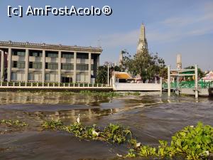 [P30] Ne apropiem de Wat Arun, printre plauri cu egrete albe » foto by crismis
 - 
<span class="allrVoted glyphicon glyphicon-heart hidden" id="av1362815"></span>
<a class="m-l-10 hidden" id="sv1362815" onclick="voting_Foto_DelVot(,1362815,3625)" role="button">șterge vot <span class="glyphicon glyphicon-remove"></span></a>
<a id="v91362815" class=" c-red"  onclick="voting_Foto_SetVot(1362815)" role="button"><span class="glyphicon glyphicon-heart-empty"></span> <b>LIKE</b> = Votează poza</a> <img class="hidden"  id="f1362815W9" src="/imagini/loader.gif" border="0" /><span class="AjErrMes hidden" id="e1362815ErM"></span>