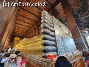 [P76] Wat Pho; statuia lui Budha Culcat » foto by crismis
 - 
<span class="allrVoted glyphicon glyphicon-heart hidden" id="av1362861"></span>
<a class="m-l-10 hidden" id="sv1362861" onclick="voting_Foto_DelVot(,1362861,3625)" role="button">șterge vot <span class="glyphicon glyphicon-remove"></span></a>
<a id="v91362861" class=" c-red"  onclick="voting_Foto_SetVot(1362861)" role="button"><span class="glyphicon glyphicon-heart-empty"></span> <b>LIKE</b> = Votează poza</a> <img class="hidden"  id="f1362861W9" src="/imagini/loader.gif" border="0" /><span class="AjErrMes hidden" id="e1362861ErM"></span>