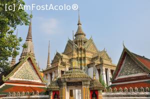 [P11] Wat Pho » foto by elazaroiu
 - 
<span class="allrVoted glyphicon glyphicon-heart hidden" id="av708321"></span>
<a class="m-l-10 hidden" id="sv708321" onclick="voting_Foto_DelVot(,708321,3625)" role="button">șterge vot <span class="glyphicon glyphicon-remove"></span></a>
<a id="v9708321" class=" c-red"  onclick="voting_Foto_SetVot(708321)" role="button"><span class="glyphicon glyphicon-heart-empty"></span> <b>LIKE</b> = Votează poza</a> <img class="hidden"  id="f708321W9" src="/imagini/loader.gif" border="0" /><span class="AjErrMes hidden" id="e708321ErM"></span>