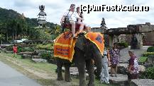 [P11] cu elefantica prin Nong Nooch Village, 20 de dolari de persoana. » foto by ARA
 - 
<span class="allrVoted glyphicon glyphicon-heart hidden" id="av76795"></span>
<a class="m-l-10 hidden" id="sv76795" onclick="voting_Foto_DelVot(,76795,3625)" role="button">șterge vot <span class="glyphicon glyphicon-remove"></span></a>
<a id="v976795" class=" c-red"  onclick="voting_Foto_SetVot(76795)" role="button"><span class="glyphicon glyphicon-heart-empty"></span> <b>LIKE</b> = Votează poza</a> <img class="hidden"  id="f76795W9" src="/imagini/loader.gif" border="0" /><span class="AjErrMes hidden" id="e76795ErM"></span>