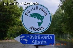 [P15] ... și intrarea ! » foto by KSV
 - 
<span class="allrVoted glyphicon glyphicon-heart hidden" id="av1184053"></span>
<a class="m-l-10 hidden" id="sv1184053" onclick="voting_Foto_DelVot(,1184053,3626)" role="button">șterge vot <span class="glyphicon glyphicon-remove"></span></a>
<a id="v91184053" class=" c-red"  onclick="voting_Foto_SetVot(1184053)" role="button"><span class="glyphicon glyphicon-heart-empty"></span> <b>LIKE</b> = Votează poza</a> <img class="hidden"  id="f1184053W9" src="/imagini/loader.gif" border="0" /><span class="AjErrMes hidden" id="e1184053ErM"></span>