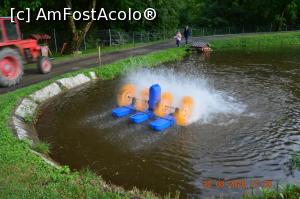 [P28] Ceea ce am crezut că e ” o jucărie ” , este de fapt un aerator pentru pești » foto by KSV
 - 
<span class="allrVoted glyphicon glyphicon-heart hidden" id="av1184067"></span>
<a class="m-l-10 hidden" id="sv1184067" onclick="voting_Foto_DelVot(,1184067,3626)" role="button">șterge vot <span class="glyphicon glyphicon-remove"></span></a>
<a id="v91184067" class=" c-red"  onclick="voting_Foto_SetVot(1184067)" role="button"><span class="glyphicon glyphicon-heart-empty"></span> <b>LIKE</b> = Votează poza</a> <img class="hidden"  id="f1184067W9" src="/imagini/loader.gif" border="0" /><span class="AjErrMes hidden" id="e1184067ErM"></span>