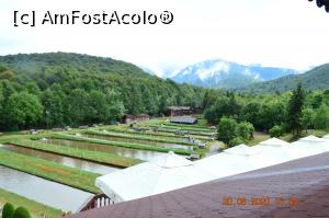 [P09] Peisaj ” balconic ” ! » foto by KSV
 - 
<span class="allrVoted glyphicon glyphicon-heart hidden" id="av1184047"></span>
<a class="m-l-10 hidden" id="sv1184047" onclick="voting_Foto_DelVot(,1184047,3626)" role="button">șterge vot <span class="glyphicon glyphicon-remove"></span></a>
<a id="v91184047" class=" c-red"  onclick="voting_Foto_SetVot(1184047)" role="button"><span class="glyphicon glyphicon-heart-empty"></span> <b>LIKE</b> = Votează poza</a> <img class="hidden"  id="f1184047W9" src="/imagini/loader.gif" border="0" /><span class="AjErrMes hidden" id="e1184047ErM"></span>