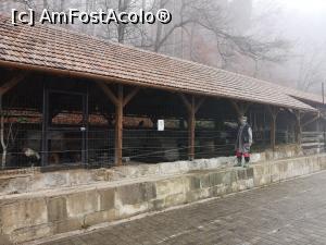 [P05] Ferma cu cel mai pitoresc angajat » foto by gabdanz
 - 
<span class="allrVoted glyphicon glyphicon-heart hidden" id="av1035591"></span>
<a class="m-l-10 hidden" id="sv1035591" onclick="voting_Foto_DelVot(,1035591,3635)" role="button">șterge vot <span class="glyphicon glyphicon-remove"></span></a>
<a id="v91035591" class=" c-red"  onclick="voting_Foto_SetVot(1035591)" role="button"><span class="glyphicon glyphicon-heart-empty"></span> <b>LIKE</b> = Votează poza</a> <img class="hidden"  id="f1035591W9" src="/imagini/loader.gif" border="0" /><span class="AjErrMes hidden" id="e1035591ErM"></span>