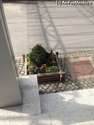[P16] Bell boyul!  » foto by gotty
 - 
<span class="allrVoted glyphicon glyphicon-heart hidden" id="av618914"></span>
<a class="m-l-10 hidden" id="sv618914" onclick="voting_Foto_DelVot(,618914,3635)" role="button">șterge vot <span class="glyphicon glyphicon-remove"></span></a>
<a id="v9618914" class=" c-red"  onclick="voting_Foto_SetVot(618914)" role="button"><span class="glyphicon glyphicon-heart-empty"></span> <b>LIKE</b> = Votează poza</a> <img class="hidden"  id="f618914W9" src="/imagini/loader.gif" border="0" /><span class="AjErrMes hidden" id="e618914ErM"></span>
