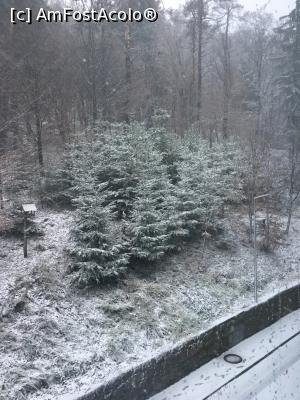 [P21] chiar a venit iarna » foto by Yersinia Pestis
 - 
<span class="allrVoted glyphicon glyphicon-heart hidden" id="av811065"></span>
<a class="m-l-10 hidden" id="sv811065" onclick="voting_Foto_DelVot(,811065,3635)" role="button">șterge vot <span class="glyphicon glyphicon-remove"></span></a>
<a id="v9811065" class=" c-red"  onclick="voting_Foto_SetVot(811065)" role="button"><span class="glyphicon glyphicon-heart-empty"></span> <b>LIKE</b> = Votează poza</a> <img class="hidden"  id="f811065W9" src="/imagini/loader.gif" border="0" /><span class="AjErrMes hidden" id="e811065ErM"></span>