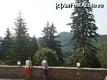 [P01] Vedere din fata hotelului-se vede si o parte din Aventura Parc, unde tiroliana era la mare cautare (ce se vede cu galben pe trunchiul bradului este un punct de oprire/parcurgere a tirolienei)  » foto by FrancescaClara
 - 
<span class="allrVoted glyphicon glyphicon-heart hidden" id="av457205"></span>
<a class="m-l-10 hidden" id="sv457205" onclick="voting_Foto_DelVot(,457205,3635)" role="button">șterge vot <span class="glyphicon glyphicon-remove"></span></a>
<a id="v9457205" class=" c-red"  onclick="voting_Foto_SetVot(457205)" role="button"><span class="glyphicon glyphicon-heart-empty"></span> <b>LIKE</b> = Votează poza</a> <img class="hidden"  id="f457205W9" src="/imagini/loader.gif" border="0" /><span class="AjErrMes hidden" id="e457205ErM"></span>