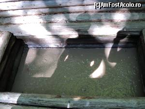[P37] Tot la Izvoarele Tamaduitoare, puteti vedea bulele de gaz din apa acestui bazin.  » foto by vega06
 - 
<span class="allrVoted glyphicon glyphicon-heart hidden" id="av568263"></span>
<a class="m-l-10 hidden" id="sv568263" onclick="voting_Foto_DelVot(,568263,3635)" role="button">șterge vot <span class="glyphicon glyphicon-remove"></span></a>
<a id="v9568263" class=" c-red"  onclick="voting_Foto_SetVot(568263)" role="button"><span class="glyphicon glyphicon-heart-empty"></span> <b>LIKE</b> = Votează poza</a> <img class="hidden"  id="f568263W9" src="/imagini/loader.gif" border="0" /><span class="AjErrMes hidden" id="e568263ErM"></span>