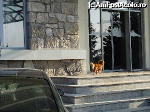 [P34] Grand Hotel Balvanyos **** - Marea şi veşnica noastrã dragoste :) Am plecat dimineata cu Bitza la plimbare... » foto by vega06
 - 
<span class="allrVoted glyphicon glyphicon-heart hidden" id="av695974"></span>
<a class="m-l-10 hidden" id="sv695974" onclick="voting_Foto_DelVot(,695974,3635)" role="button">șterge vot <span class="glyphicon glyphicon-remove"></span></a>
<a id="v9695974" class=" c-red"  onclick="voting_Foto_SetVot(695974)" role="button"><span class="glyphicon glyphicon-heart-empty"></span> <b>LIKE</b> = Votează poza</a> <img class="hidden"  id="f695974W9" src="/imagini/loader.gif" border="0" /><span class="AjErrMes hidden" id="e695974ErM"></span>