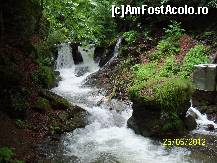 [P24] Catunele din Valea Cernei - nu inainte de a admira cascada » foto by Lumis66
 - 
<span class="allrVoted glyphicon glyphicon-heart hidden" id="av363579"></span>
<a class="m-l-10 hidden" id="sv363579" onclick="voting_Foto_DelVot(,363579,3645)" role="button">șterge vot <span class="glyphicon glyphicon-remove"></span></a>
<a id="v9363579" class=" c-red"  onclick="voting_Foto_SetVot(363579)" role="button"><span class="glyphicon glyphicon-heart-empty"></span> <b>LIKE</b> = Votează poza</a> <img class="hidden"  id="f363579W9" src="/imagini/loader.gif" border="0" /><span class="AjErrMes hidden" id="e363579ErM"></span>