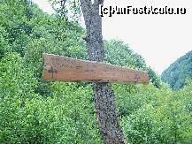 [P02] Indicatoarele după care ne orientăm spre cătun » foto by Lumis66
 - 
<span class="allrVoted glyphicon glyphicon-heart hidden" id="av449910"></span>
<a class="m-l-10 hidden" id="sv449910" onclick="voting_Foto_DelVot(,449910,3645)" role="button">șterge vot <span class="glyphicon glyphicon-remove"></span></a>
<a id="v9449910" class=" c-red"  onclick="voting_Foto_SetVot(449910)" role="button"><span class="glyphicon glyphicon-heart-empty"></span> <b>LIKE</b> = Votează poza</a> <img class="hidden"  id="f449910W9" src="/imagini/loader.gif" border="0" /><span class="AjErrMes hidden" id="e449910ErM"></span>