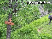 [P03] Poteca urcă spre peretele de stânca insoţită de incurajări şi imdemnuri » foto by Lumis66
 - 
<span class="allrVoted glyphicon glyphicon-heart hidden" id="av449911"></span>
<a class="m-l-10 hidden" id="sv449911" onclick="voting_Foto_DelVot(,449911,3645)" role="button">șterge vot <span class="glyphicon glyphicon-remove"></span></a>
<a id="v9449911" class=" c-red"  onclick="voting_Foto_SetVot(449911)" role="button"><span class="glyphicon glyphicon-heart-empty"></span> <b>LIKE</b> = Votează poza</a> <img class="hidden"  id="f449911W9" src="/imagini/loader.gif" border="0" /><span class="AjErrMes hidden" id="e449911ErM"></span>
