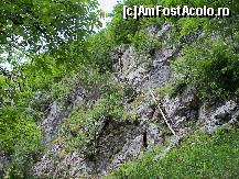 [P05] Poarta de intrare în cătunul Scărişoara » foto by Lumis66
 - 
<span class="allrVoted glyphicon glyphicon-heart hidden" id="av449913"></span>
<a class="m-l-10 hidden" id="sv449913" onclick="voting_Foto_DelVot(,449913,3645)" role="button">șterge vot <span class="glyphicon glyphicon-remove"></span></a>
<a id="v9449913" class=" c-red"  onclick="voting_Foto_SetVot(449913)" role="button"><span class="glyphicon glyphicon-heart-empty"></span> <b>LIKE</b> = Votează poza</a> <img class="hidden"  id="f449913W9" src="/imagini/loader.gif" border="0" /><span class="AjErrMes hidden" id="e449913ErM"></span>