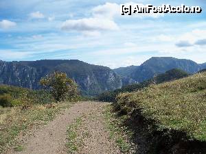 [P15] 'Bulevardul' dintre catunul Prisacina si catunul Dobraia » foto by Lumis66
 - 
<span class="allrVoted glyphicon glyphicon-heart hidden" id="av473721"></span>
<a class="m-l-10 hidden" id="sv473721" onclick="voting_Foto_DelVot(,473721,3645)" role="button">șterge vot <span class="glyphicon glyphicon-remove"></span></a>
<a id="v9473721" class=" c-red"  onclick="voting_Foto_SetVot(473721)" role="button"><span class="glyphicon glyphicon-heart-empty"></span> <b>LIKE</b> = Votează poza</a> <img class="hidden"  id="f473721W9" src="/imagini/loader.gif" border="0" /><span class="AjErrMes hidden" id="e473721ErM"></span>