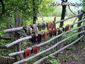 [P07] Catun Inelet - ciorapi la uscat » foto by Lumis66
 - 
<span class="allrVoted glyphicon glyphicon-heart hidden" id="av473706"></span>
<a class="m-l-10 hidden" id="sv473706" onclick="voting_Foto_DelVot(,473706,3645)" role="button">șterge vot <span class="glyphicon glyphicon-remove"></span></a>
<a id="v9473706" class=" c-red"  onclick="voting_Foto_SetVot(473706)" role="button"><span class="glyphicon glyphicon-heart-empty"></span> <b>LIKE</b> = Votează poza</a> <img class="hidden"  id="f473706W9" src="/imagini/loader.gif" border="0" /><span class="AjErrMes hidden" id="e473706ErM"></span>