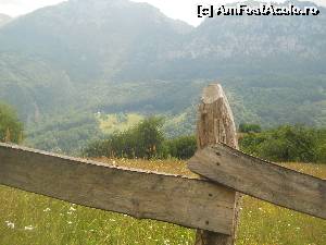 [P10] Munti impaduriti si verde cat vezi cu ochii » foto by noi doi
 - 
<span class="allrVoted glyphicon glyphicon-heart hidden" id="av520233"></span>
<a class="m-l-10 hidden" id="sv520233" onclick="voting_Foto_DelVot(,520233,3645)" role="button">șterge vot <span class="glyphicon glyphicon-remove"></span></a>
<a id="v9520233" class=" c-red"  onclick="voting_Foto_SetVot(520233)" role="button"><span class="glyphicon glyphicon-heart-empty"></span> <b>LIKE</b> = Votează poza</a> <img class="hidden"  id="f520233W9" src="/imagini/loader.gif" border="0" /><span class="AjErrMes hidden" id="e520233ErM"></span>