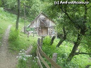[P19]  -- <small>// FĂRĂ DESCRIERE</small> » foto by noi doi
 - 
<span class="allrVoted glyphicon glyphicon-heart hidden" id="av520248"></span>
<a class="m-l-10 hidden" id="sv520248" onclick="voting_Foto_DelVot(,520248,3645)" role="button">șterge vot <span class="glyphicon glyphicon-remove"></span></a>
<a id="v9520248" class=" c-red"  onclick="voting_Foto_SetVot(520248)" role="button"><span class="glyphicon glyphicon-heart-empty"></span> <b>LIKE</b> = Votează poza</a> <img class="hidden"  id="f520248W9" src="/imagini/loader.gif" border="0" /><span class="AjErrMes hidden" id="e520248ErM"></span>