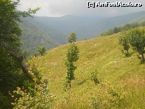 [P22] Tabloul perfect al naturii » foto by noi doi
 - 
<span class="allrVoted glyphicon glyphicon-heart hidden" id="av520251"></span>
<a class="m-l-10 hidden" id="sv520251" onclick="voting_Foto_DelVot(,520251,3645)" role="button">șterge vot <span class="glyphicon glyphicon-remove"></span></a>
<a id="v9520251" class=" c-red"  onclick="voting_Foto_SetVot(520251)" role="button"><span class="glyphicon glyphicon-heart-empty"></span> <b>LIKE</b> = Votează poza</a> <img class="hidden"  id="f520251W9" src="/imagini/loader.gif" border="0" /><span class="AjErrMes hidden" id="e520251ErM"></span>