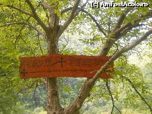 [P05] Din loc in loc, citate din Biblie » foto by noi doi
 - 
<span class="allrVoted glyphicon glyphicon-heart hidden" id="av520228"></span>
<a class="m-l-10 hidden" id="sv520228" onclick="voting_Foto_DelVot(,520228,3645)" role="button">șterge vot <span class="glyphicon glyphicon-remove"></span></a>
<a id="v9520228" class=" c-red"  onclick="voting_Foto_SetVot(520228)" role="button"><span class="glyphicon glyphicon-heart-empty"></span> <b>LIKE</b> = Votează poza</a> <img class="hidden"  id="f520228W9" src="/imagini/loader.gif" border="0" /><span class="AjErrMes hidden" id="e520228ErM"></span>