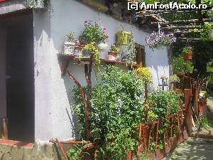 [P06] Curtea lui Nea Avramut, prima casa intalnita » foto by noi doi
 - 
<span class="allrVoted glyphicon glyphicon-heart hidden" id="av520229"></span>
<a class="m-l-10 hidden" id="sv520229" onclick="voting_Foto_DelVot(,520229,3645)" role="button">șterge vot <span class="glyphicon glyphicon-remove"></span></a>
<a id="v9520229" class=" c-red"  onclick="voting_Foto_SetVot(520229)" role="button"><span class="glyphicon glyphicon-heart-empty"></span> <b>LIKE</b> = Votează poza</a> <img class="hidden"  id="f520229W9" src="/imagini/loader.gif" border="0" /><span class="AjErrMes hidden" id="e520229ErM"></span>
