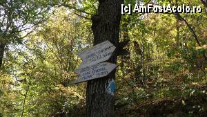 [P14] Băile Herculane - Platoul Coronini - Izvorul Munk; marcaje pe traseu » foto by Dragoș_MD
 - 
<span class="allrVoted glyphicon glyphicon-heart hidden" id="av386998"></span>
<a class="m-l-10 hidden" id="sv386998" onclick="voting_Foto_DelVot(,386998,3645)" role="button">șterge vot <span class="glyphicon glyphicon-remove"></span></a>
<a id="v9386998" class=" c-red"  onclick="voting_Foto_SetVot(386998)" role="button"><span class="glyphicon glyphicon-heart-empty"></span> <b>LIKE</b> = Votează poza</a> <img class="hidden"  id="f386998W9" src="/imagini/loader.gif" border="0" /><span class="AjErrMes hidden" id="e386998ErM"></span>