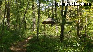 [P19] Băile Herculane - Foișorul Galben - Grota cu Aburi; Foișorul Galben » foto by Dragoș_MD
 - 
<span class="allrVoted glyphicon glyphicon-heart hidden" id="av387003"></span>
<a class="m-l-10 hidden" id="sv387003" onclick="voting_Foto_DelVot(,387003,3645)" role="button">șterge vot <span class="glyphicon glyphicon-remove"></span></a>
<a id="v9387003" class=" c-red"  onclick="voting_Foto_SetVot(387003)" role="button"><span class="glyphicon glyphicon-heart-empty"></span> <b>LIKE</b> = Votează poza</a> <img class="hidden"  id="f387003W9" src="/imagini/loader.gif" border="0" /><span class="AjErrMes hidden" id="e387003ErM"></span>