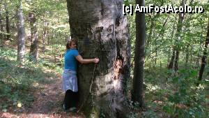 [P27] Băile Herculane - Foișorul Galben - Grota cu Aburi; coborâm prin pădurea cu arbori seculari » foto by Dragoș_MD
 - 
<span class="allrVoted glyphicon glyphicon-heart hidden" id="av387011"></span>
<a class="m-l-10 hidden" id="sv387011" onclick="voting_Foto_DelVot(,387011,3645)" role="button">șterge vot <span class="glyphicon glyphicon-remove"></span></a>
<a id="v9387011" class=" c-red"  onclick="voting_Foto_SetVot(387011)" role="button"><span class="glyphicon glyphicon-heart-empty"></span> <b>LIKE</b> = Votează poza</a> <img class="hidden"  id="f387011W9" src="/imagini/loader.gif" border="0" /><span class="AjErrMes hidden" id="e387011ErM"></span>