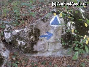 [P28] Băile Herculane - Foișorul Galben - Grota cu Aburi; pe traseul cu triunghi albastru » foto by Dragoș_MD
 - 
<span class="allrVoted glyphicon glyphicon-heart hidden" id="av387012"></span>
<a class="m-l-10 hidden" id="sv387012" onclick="voting_Foto_DelVot(,387012,3645)" role="button">șterge vot <span class="glyphicon glyphicon-remove"></span></a>
<a id="v9387012" class=" c-red"  onclick="voting_Foto_SetVot(387012)" role="button"><span class="glyphicon glyphicon-heart-empty"></span> <b>LIKE</b> = Votează poza</a> <img class="hidden"  id="f387012W9" src="/imagini/loader.gif" border="0" /><span class="AjErrMes hidden" id="e387012ErM"></span>