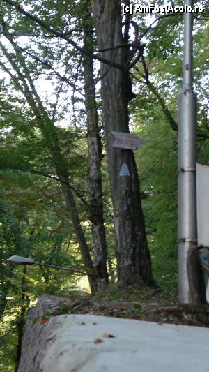 [P33] Băile Herculane - începutul traseului spre Grota cu aburi, din apropiere de Hotelul Roman » foto by Dragoș_MD
 - 
<span class="allrVoted glyphicon glyphicon-heart hidden" id="av387023"></span>
<a class="m-l-10 hidden" id="sv387023" onclick="voting_Foto_DelVot(,387023,3645)" role="button">șterge vot <span class="glyphicon glyphicon-remove"></span></a>
<a id="v9387023" class=" c-red"  onclick="voting_Foto_SetVot(387023)" role="button"><span class="glyphicon glyphicon-heart-empty"></span> <b>LIKE</b> = Votează poza</a> <img class="hidden"  id="f387023W9" src="/imagini/loader.gif" border="0" /><span class="AjErrMes hidden" id="e387023ErM"></span>