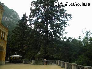 [P22] Sequoia Gigantea- parcul centrul vechi » foto by silvia tudoran
 - 
<span class="allrVoted glyphicon glyphicon-heart hidden" id="av347620"></span>
<a class="m-l-10 hidden" id="sv347620" onclick="voting_Foto_DelVot(,347620,3645)" role="button">șterge vot <span class="glyphicon glyphicon-remove"></span></a>
<a id="v9347620" class=" c-red"  onclick="voting_Foto_SetVot(347620)" role="button"><span class="glyphicon glyphicon-heart-empty"></span> <b>LIKE</b> = Votează poza</a> <img class="hidden"  id="f347620W9" src="/imagini/loader.gif" border="0" /><span class="AjErrMes hidden" id="e347620ErM"></span>
