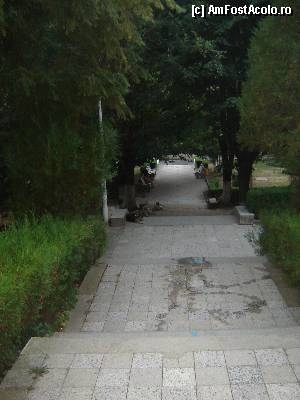 [P42] Baile Herculane - aleea care urca spre Cazino si arborele mamut » foto by sunflower
 - 
<span class="allrVoted glyphicon glyphicon-heart hidden" id="av367527"></span>
<a class="m-l-10 hidden" id="sv367527" onclick="voting_Foto_DelVot(,367527,3645)" role="button">șterge vot <span class="glyphicon glyphicon-remove"></span></a>
<a id="v9367527" class=" c-red"  onclick="voting_Foto_SetVot(367527)" role="button"><span class="glyphicon glyphicon-heart-empty"></span> <b>LIKE</b> = Votează poza</a> <img class="hidden"  id="f367527W9" src="/imagini/loader.gif" border="0" /><span class="AjErrMes hidden" id="e367527ErM"></span>