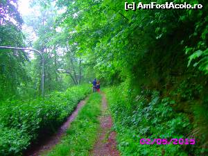 [P03] Pe carari de munte » foto by Dania
 - 
<span class="allrVoted glyphicon glyphicon-heart hidden" id="av626617"></span>
<a class="m-l-10 hidden" id="sv626617" onclick="voting_Foto_DelVot(,626617,3645)" role="button">șterge vot <span class="glyphicon glyphicon-remove"></span></a>
<a id="v9626617" class=" c-red"  onclick="voting_Foto_SetVot(626617)" role="button"><span class="glyphicon glyphicon-heart-empty"></span> <b>LIKE</b> = Votează poza</a> <img class="hidden"  id="f626617W9" src="/imagini/loader.gif" border="0" /><span class="AjErrMes hidden" id="e626617ErM"></span>