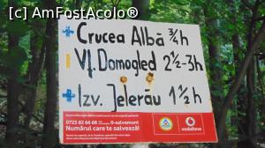 [P80] Spre Crucea Alba. Marcaje traseu.  » foto by DanTal74
 - 
<span class="allrVoted glyphicon glyphicon-heart hidden" id="av1028951"></span>
<a class="m-l-10 hidden" id="sv1028951" onclick="voting_Foto_DelVot(,1028951,3645)" role="button">șterge vot <span class="glyphicon glyphicon-remove"></span></a>
<a id="v91028951" class=" c-red"  onclick="voting_Foto_SetVot(1028951)" role="button"><span class="glyphicon glyphicon-heart-empty"></span> <b>LIKE</b> = Votează poza</a> <img class="hidden"  id="f1028951W9" src="/imagini/loader.gif" border="0" /><span class="AjErrMes hidden" id="e1028951ErM"></span>